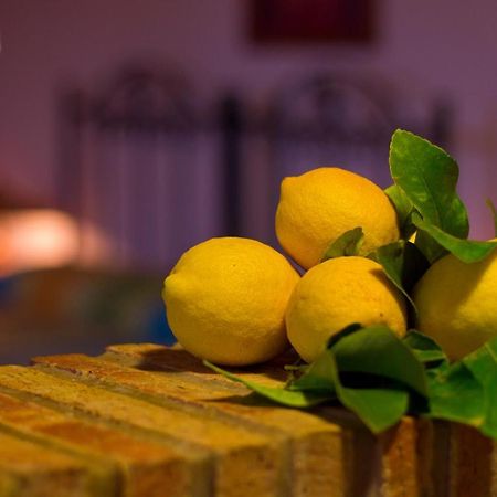 Alle Riserve Vendicari Casa Maccari Dış mekan fotoğraf