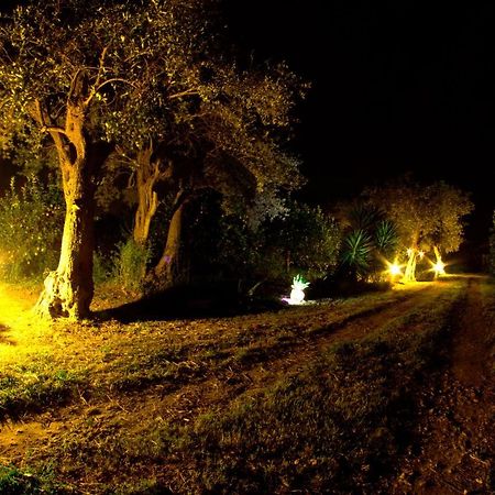 Alle Riserve Vendicari Casa Maccari Dış mekan fotoğraf